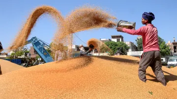 <p>Food Grain</p>- India TV Paisa