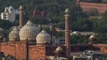 Red Fort, Jama Masjid, Heritage Park, Red Fort Heritage Park, Jama Masjid Heritage Park- India TV Hindi