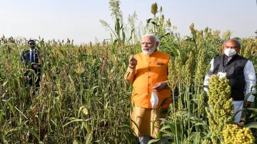 <p>PM Modi</p>- India TV Paisa