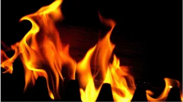 Madhya Pradesh Woman Set Ablaze A Hut (Representative Photo)- India TV Hindi