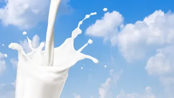 <p>Milk</p>- India TV Paisa