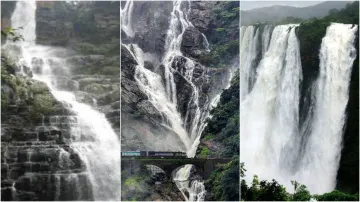 <p> Waterfall in India</p>- India TV Hindi