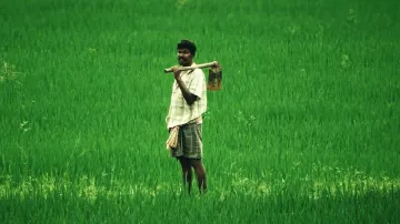 <p>Farmers </p>- India TV Paisa