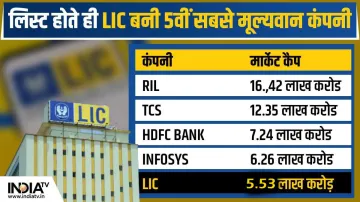 <p>LIC IPO</p>- India TV Paisa