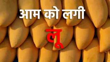 <p>Mango</p>- India TV Paisa