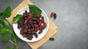Mulberry leaves for Diabetes- India TV Hindi