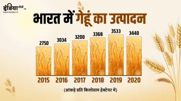 <p>Wheat Production </p>- India TV Paisa