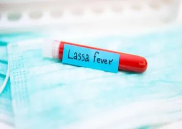 Lassa Fever- India TV Hindi