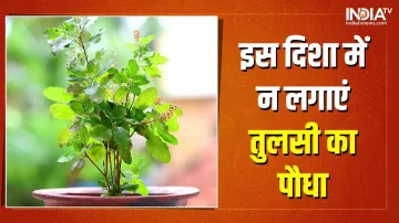 Vastu Tips - India TV Hindi