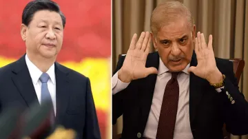 Xi Jinping and Shehbaz Sharif- India TV Hindi