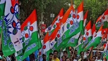 TMC Flag(File Photo)- India TV Hindi