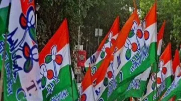TMC Flag(File Photo)- India TV Hindi
