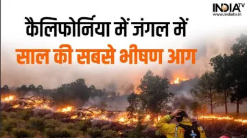 California Fire- India TV Hindi