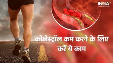 Cholesterol Control Tips- India TV Hindi