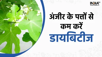 Fig Leaves- India TV Hindi