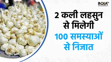 2 कली लहसुन खाकर दूर करें 100 परेशानियां LAHSUN GARLIC- India TV Hindi