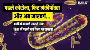 Marburg Virus Cases- India TV Hindi