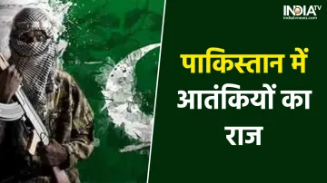Terrorism In Pakistan- India TV Hindi