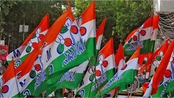 TMC flag (Representational Image)- India TV Hindi