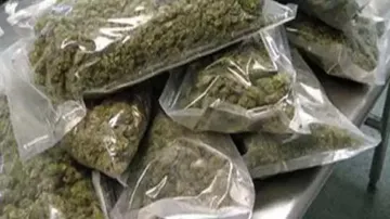 Marijuana- India TV Hindi