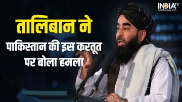 Taliban on Pakistan- India TV Hindi