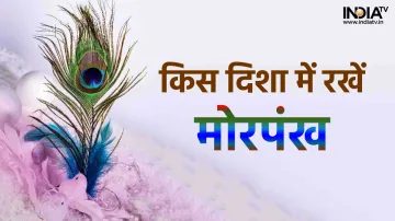  Mor Pankh- India TV Hindi