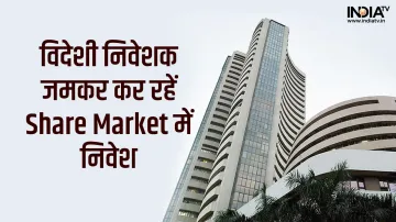 Foreign investors in share Market- India TV Paisa