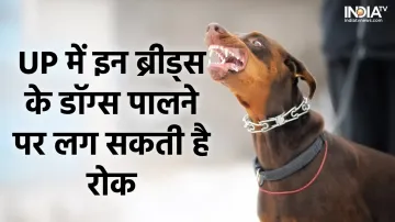 Ban on raising dogs of three breeds- India TV Hindi
