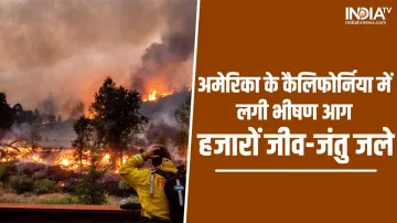 fire- India TV Hindi