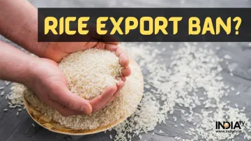 Rice Export Ban- India TV Paisa