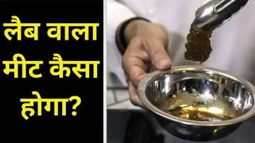 Clean Meat- India TV Hindi