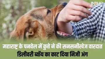 Dog bite- India TV Hindi