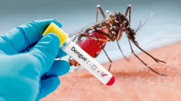 Delhi Dengue Cases- India TV Hindi