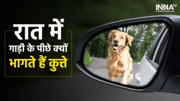 Dog Facts- India TV Hindi