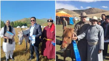 Mongolia Horse Gifts- India TV Hindi