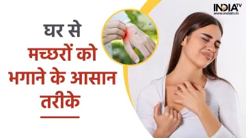 Home Remedies for Mosquitoes- India TV Hindi