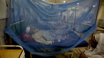 Pakistan Malaria Cases-India Mosquito Nets - India TV Hindi
