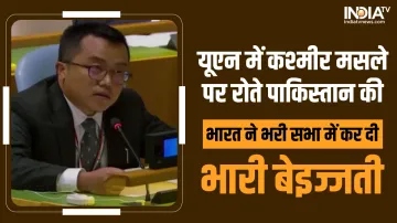 INDIA at UN Reply To Pakistan- India TV Hindi