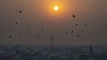 air quality- India TV Hindi