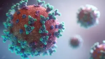 Omicron variant of coronavirus - India TV Hindi