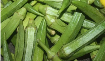 Side Effects of Bhindi- India TV Hindi