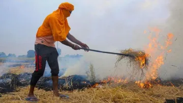 Stubble Burning, Stubble Burning in Punjab, Stubble Burning Air Pollution- India TV Hindi