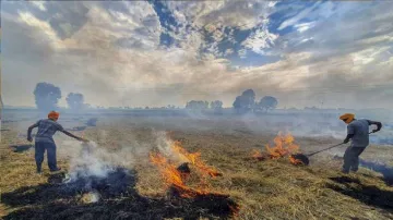 stubble burning- India TV Hindi