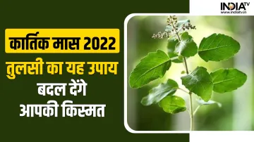 Kartik Maas 2022- India TV Hindi