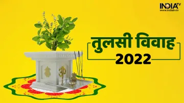 तुलसी विवाह 2022- India TV Hindi