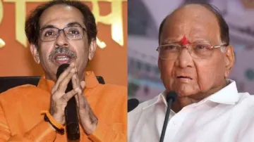 Uddhav Thackeray and Sharad Pawar - India TV Hindi