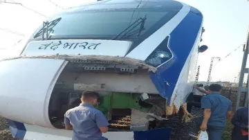 Vande Bharat Express, Vande Bharat Express Accident, Vande Bharat Express News- India TV Hindi