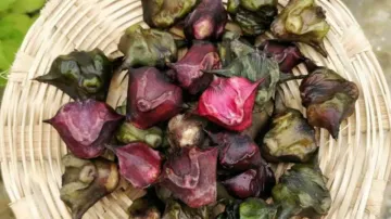 Health Benefits of Water Chestnut- India TV Hindi