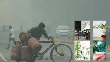 दिल्ली में प्रदूषण- India TV Hindi