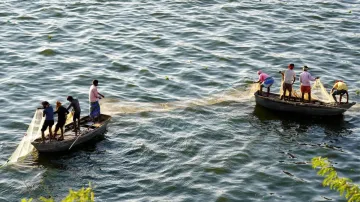 श्रीलंका की नौसेना ने भारत के 14 मछुआरों को गिरफ्तार किया- India TV Hindi